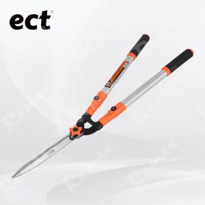 81-ECT604